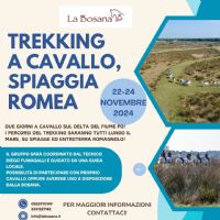 TREKKING A SPIAGGIA ROMEA!