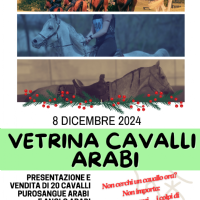 8 DICEMBRE 2024